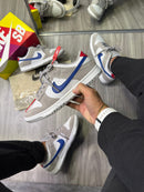 Nike SB Dunk Low Pro x Cinza/Azul