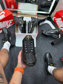 Nike Air Max TN Preto